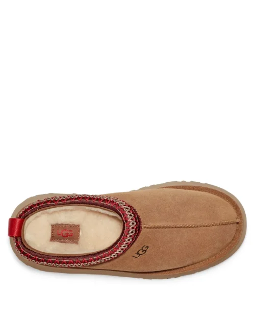 Alternative view of כפכי UGG TAZZ