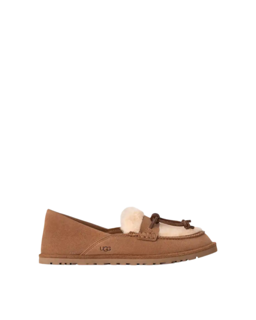 מוקסין UGG ZORA